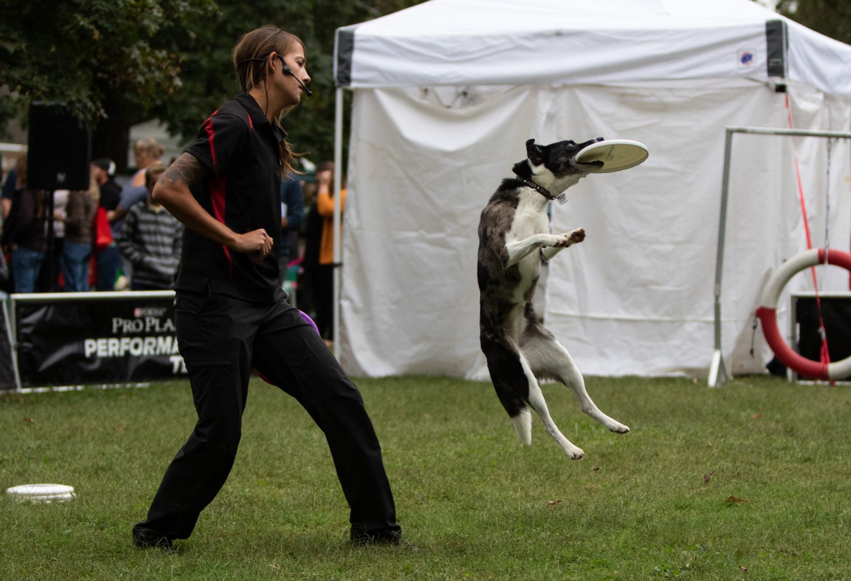 191006TSCanineCarnival90